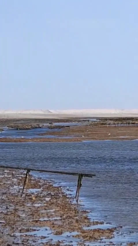 The Dakhla lagoon at low tide with dunes behind